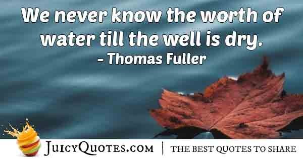 we never know the worth of water till the well is dry. thomas fuller