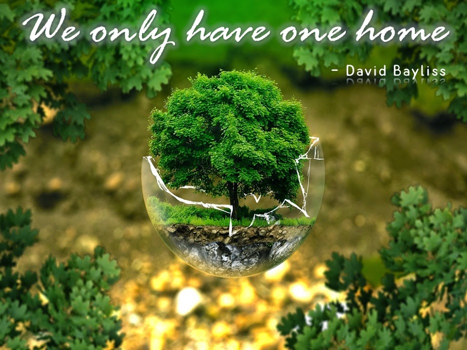 we only have one home. david bayliss