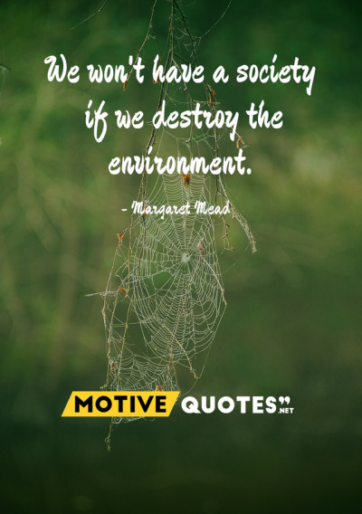 we won’t have a society if we destroy the environment. margaret mead