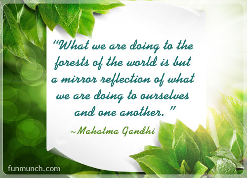 what we are doing to the forests of the world is but a mirror reflection of what we are doing to ourelves and one another. mahatma gandhi