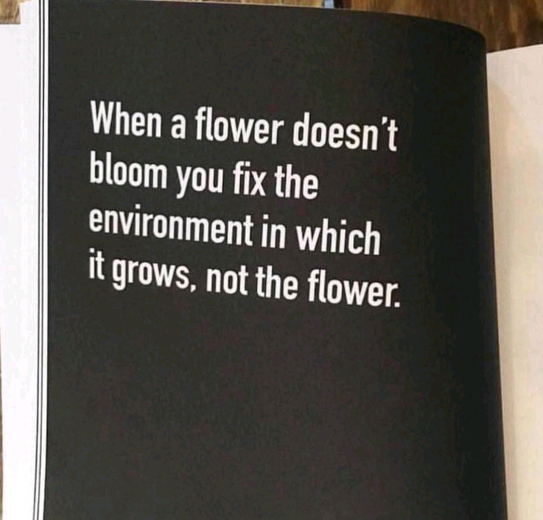 when a flower doesn’t bloom you fix the environment in which it grows, not the flower