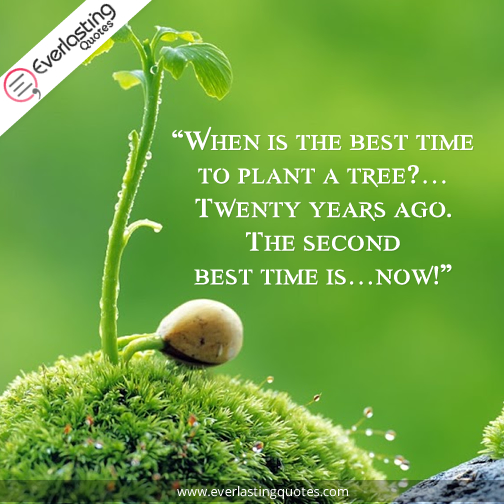 when is the best time to plant a tree twenty years ago the second best time is now