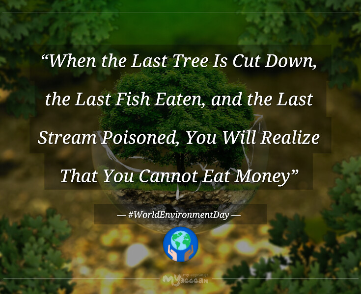 when the last tree is cut down, the last fish eaten and the last stream poisoned you will realize that you cannot eat money.