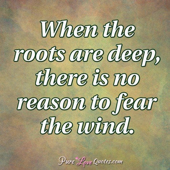 when the roots are deep, there is not reason to fear the wind