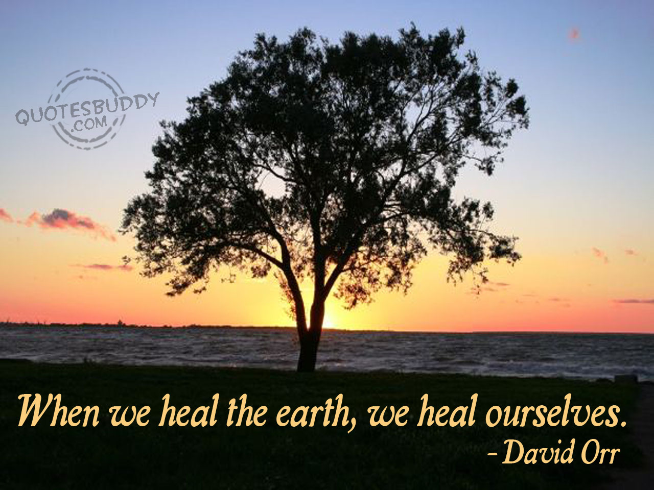 when we heal the earth, we heal ourselves. david orr