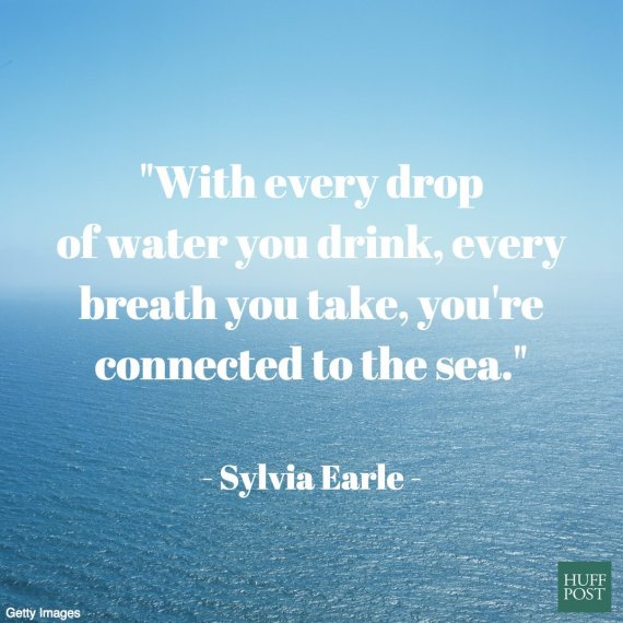 with every drop of water you drink, every breath you take, you’re connected to the sea. sylvia earle