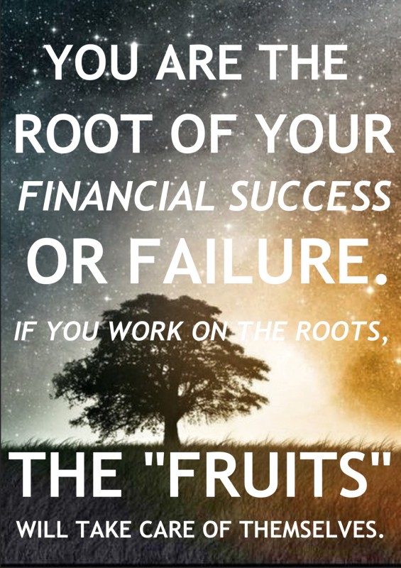 you are the root of your financial success or failure if you work on the roots the fruits will take care of themselves