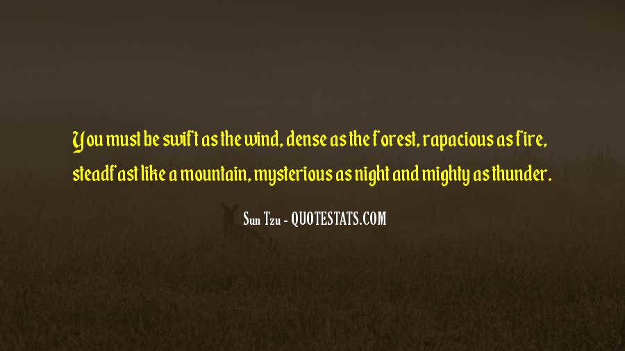 you must be swift as the wind dense as the forest rapacious as fire steadfast like a mountain mysterious as night and mighty as thunder