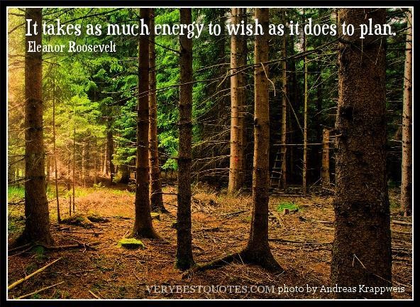 it takes as much energy to wish as it does to plan. eleanor roosevelt