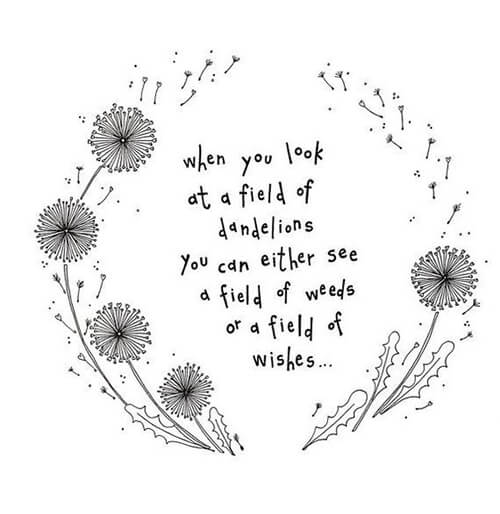 when you look at a field of dandelions you can either see a field of weeds or a field of wishes