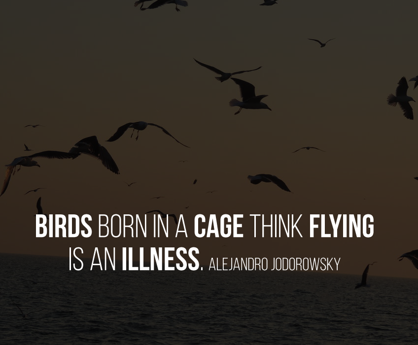 Birds born in a cage, think flying is an īllness.